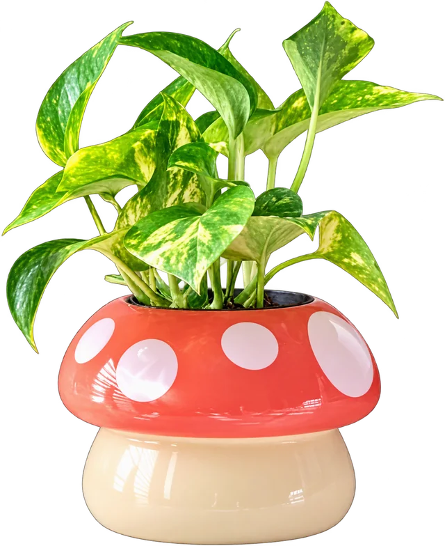 Small pothos in a red mushroom-shaped planter