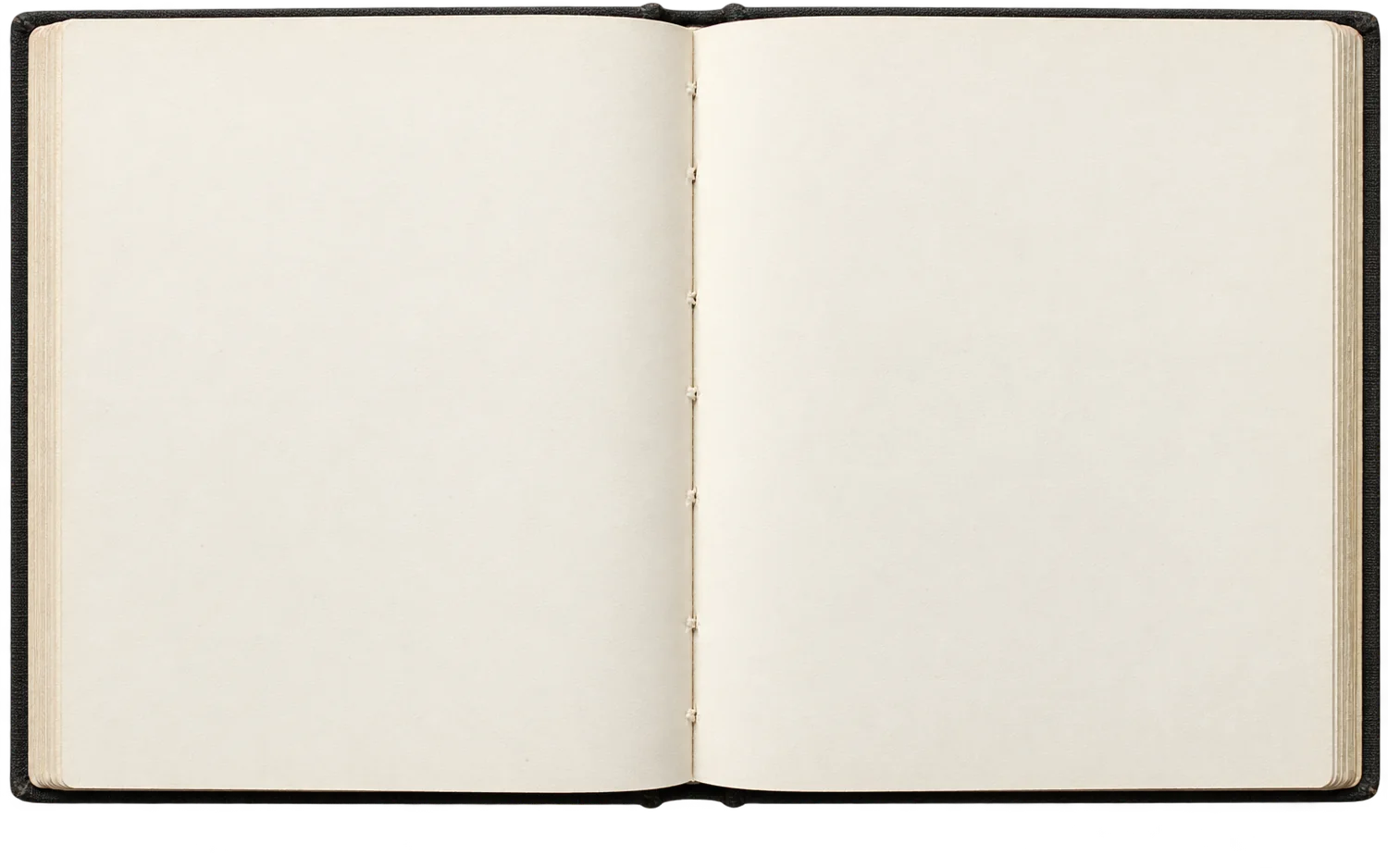 An open bound sketchbook with two ivory pages